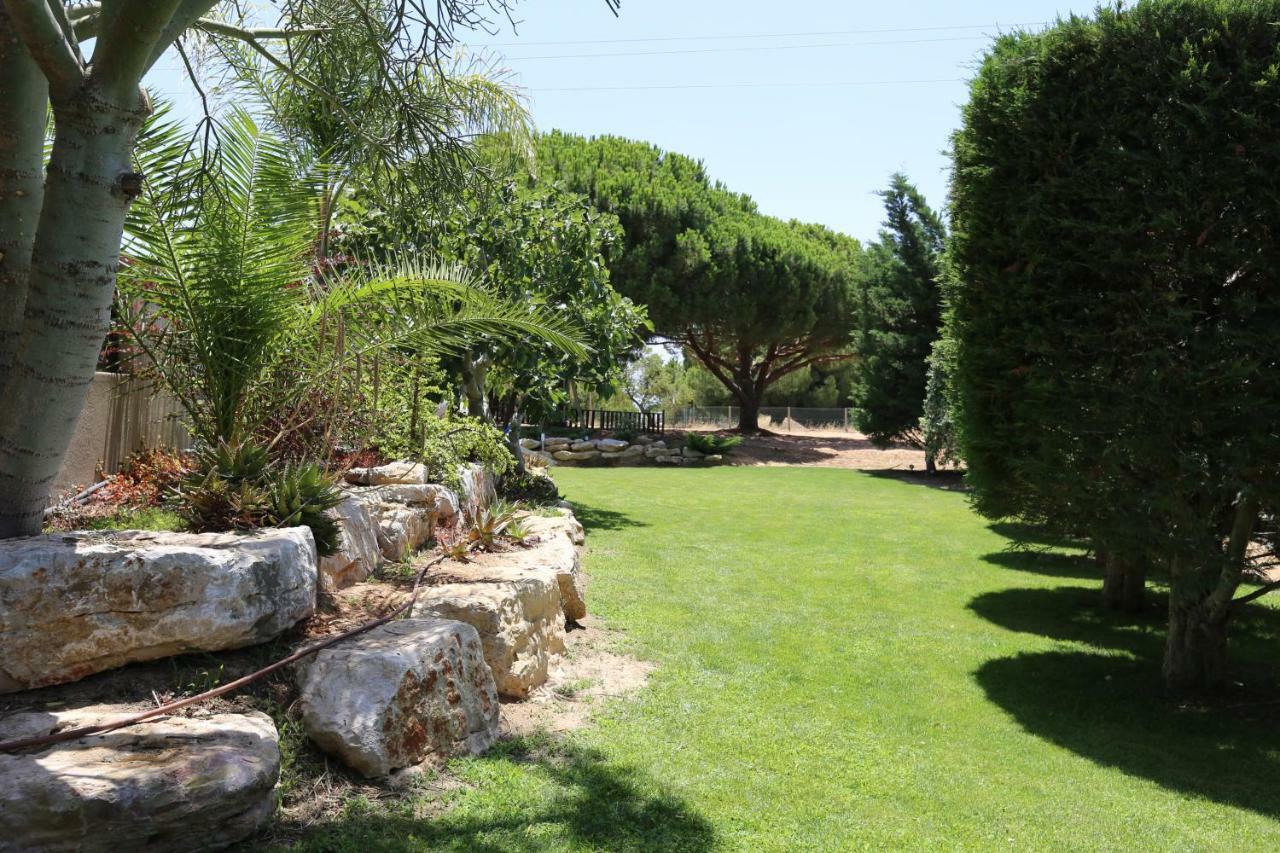 Quinta Do Pinheiro Manso - Holidays Villa - Marinha Beach Καρβοέιρο Εξωτερικό φωτογραφία