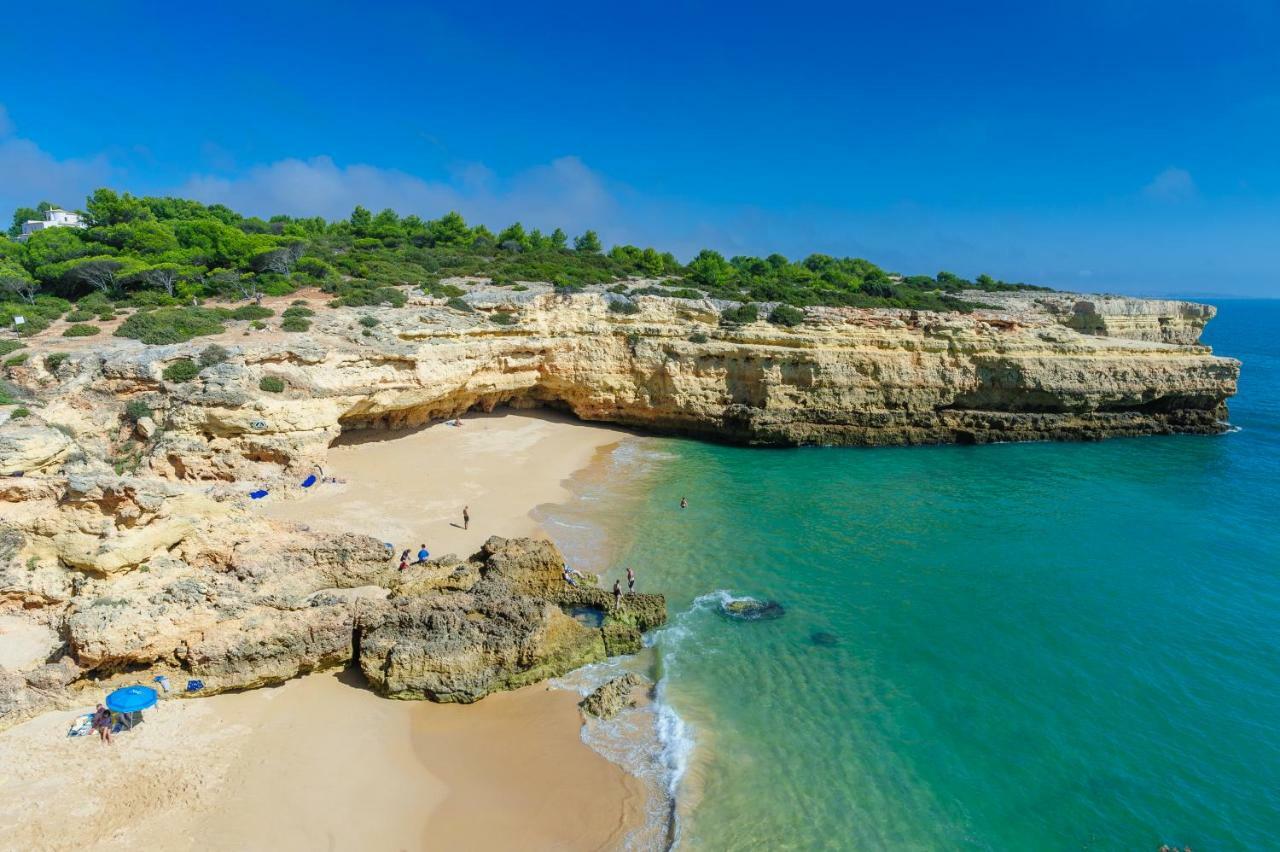 Quinta Do Pinheiro Manso - Holidays Villa - Marinha Beach Καρβοέιρο Εξωτερικό φωτογραφία